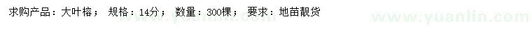 求購14公分大葉榕