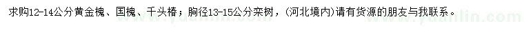 求購(gòu)黃金槐、國(guó)槐、千頭椿等