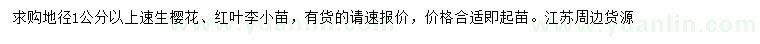 求購(gòu)地徑1公分以上速生櫻花、紅葉李小苗