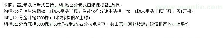 求購老式白蠟、速生法桐、金葉榆等