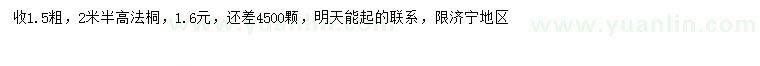求購高2.5米法桐