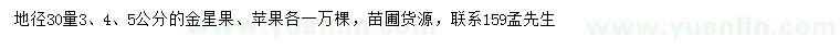 求購金星果、蘋果