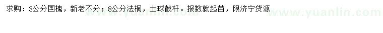 求購(gòu)3公分國(guó)槐、8公分法桐