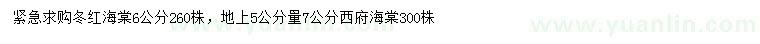 求購(gòu)6公分冬紅海棠、地上5公分量7公分西府海棠