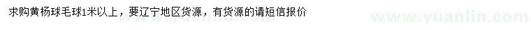 求購1米以上黃楊球