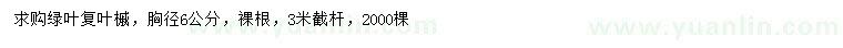 求購(gòu)胸徑6公分綠葉復(fù)葉槭