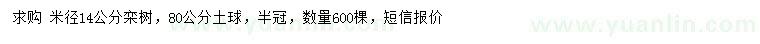 求購米徑14公分欒樹