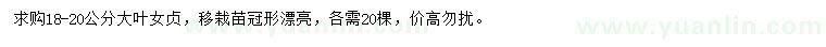 求購18-20公分大葉女貞