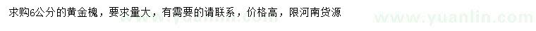 求購6公分黃金槐