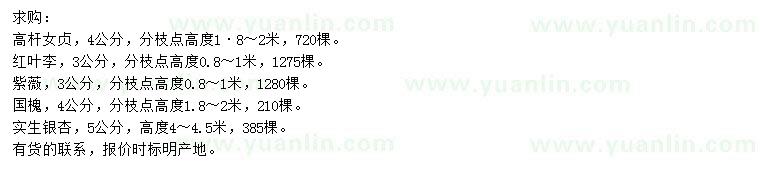 求購(gòu)高桿女貞、紅葉李、紫薇等