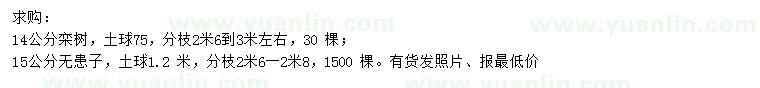 求購14公分欒樹、15公分無患子
