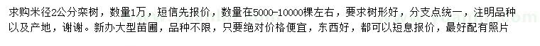 求購米徑2公分欒樹