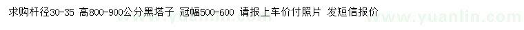 求購高800-900公分黑塔子
