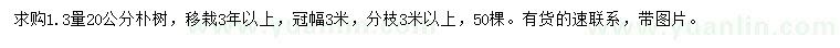 求購1.3量20公分樸樹