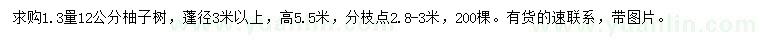 求購(gòu)1.3量12公分柚子樹(shù)