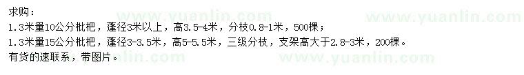 求購(gòu)1.3米量10、15公分枇杷