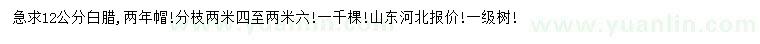 求購(gòu)12公分白臘