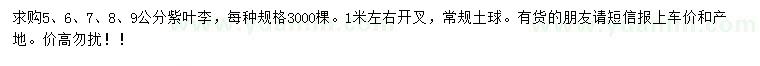 求購5、6、7、8、9公分紫葉李