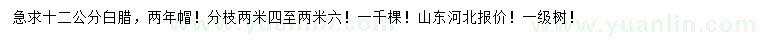 求購12公分白臘