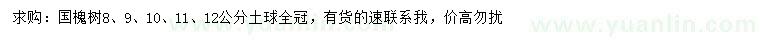 求購8、9、10、11、12公分國槐