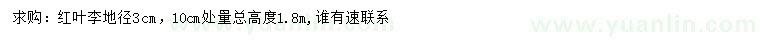 求購地徑3公分紅葉李