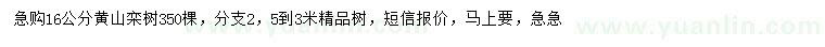 求購16公分黃山欒樹