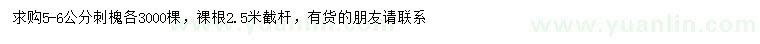 求購5-6公分刺槐