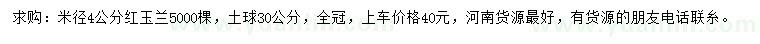 求購米徑4公分紅玉蘭