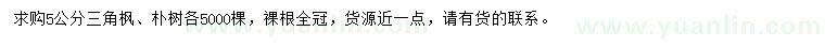 求購5公分三角楓、樸樹(shù)