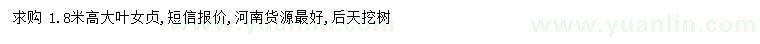 求購高1.8米大葉女貞