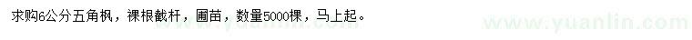 求購6公分五角楓