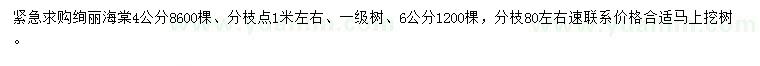 求購4、6公分絢麗海棠