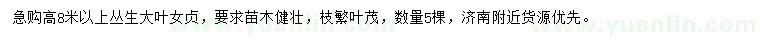 求購(gòu)高8米以上大葉女貞