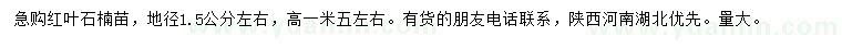 求購(gòu)地徑1.5公分紅葉石楠