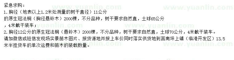 求購胸徑12公分法桐、懸鈴木