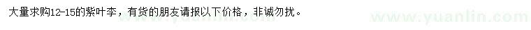 求購12-15公分紫葉李