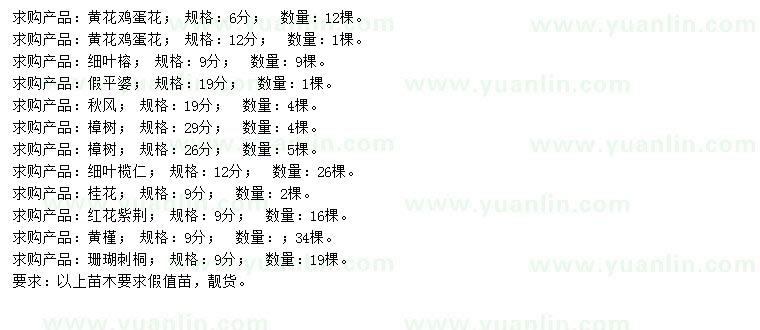 求購黃花雞蛋花、細(xì)葉榕、假平婆等