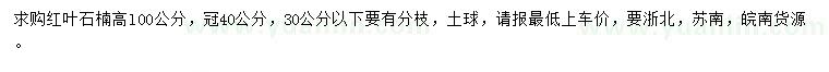 求購高100公分紅葉石楠