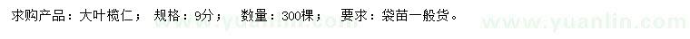 求購9公分大葉欖仁