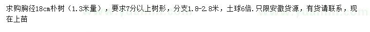 求購1.3米量18公分樸樹