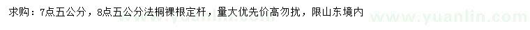 求購7.5、8.5公分法桐