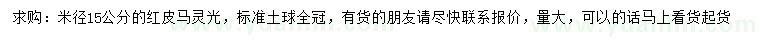 求購米徑15公分紅皮馬靈光
