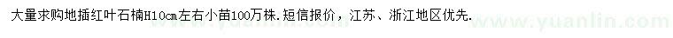 求購(gòu)高10公分紅葉石楠