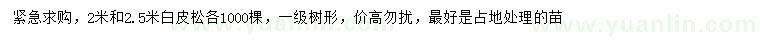 求購2、2.5米白皮松