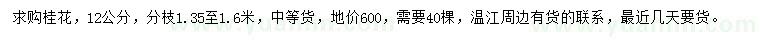 求購(gòu)12公分桂花