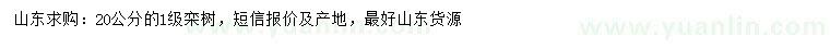求購(gòu)20公分欒樹