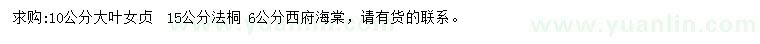 求購大葉女貞、法桐、西府海棠