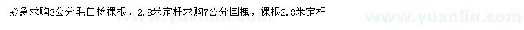 求購3公分毛白楊、7公分國槐