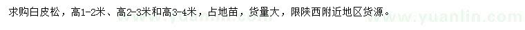 求購高1-4米白皮松