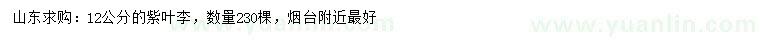 求購(gòu)12公分紫葉李